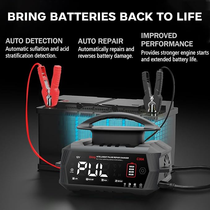 30 AMP Battery Charger, 6V/12V/24V Lead-Acid, Lithium, LiFePo4 Smart Battery Charger, Portable Large Screen Trickle Charger, Fully Automatic Chargers and Maintainer for Car, Motorcycle, Lawn Mower