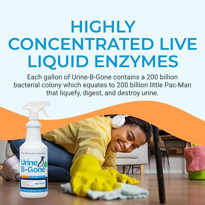 KINZUA ENVIRONMENTAL Urine B-Gone, Professional Enzyme Odor Eliminator & Pet Stain Remover, Human, Cat & Dog Urine Cleaner, Effective on Laundry, Carpets & More, Citrus Scent, 32oz