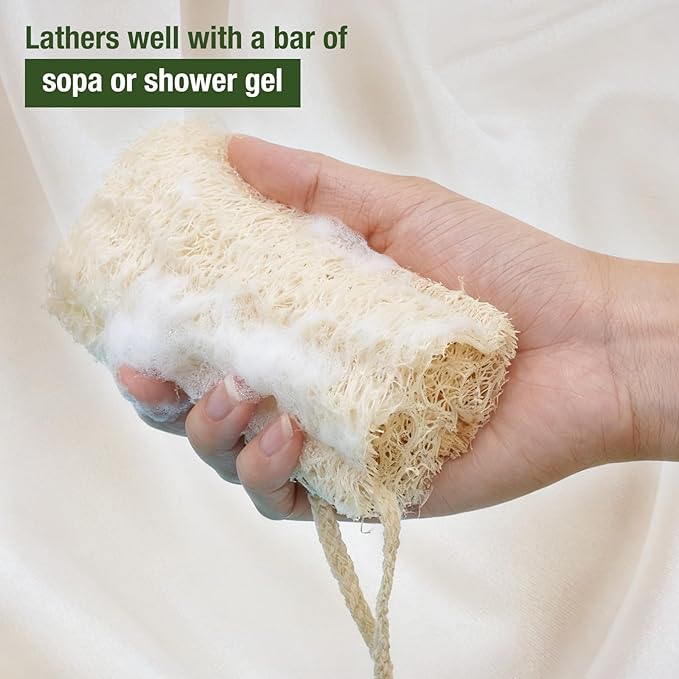 Natural Loofah Sponge for Shower & Dish Cleaning - 100% Plant-Based, Biodegradable Exfoliating Body & Kitchen Scrubber for Women/Men, 3-Pack, Travel-Friendly