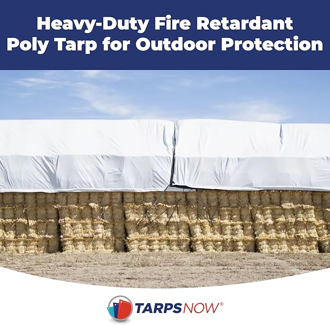 Tarps Now 10x10 Feet Fire Retardant Poly Tarp |12 MIL Heavy Duty Waterproof Cover |Rip and Tear Proof Plastic Tarp with Rustproof Aluminum Grommets & Reinforced Edges |Ideal for Camping - White