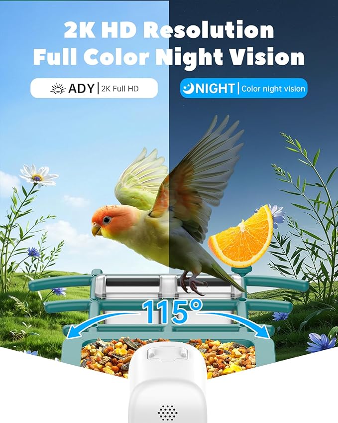 Smart Bird Feeder Camera Solar Powered, 2K Video Birdfeeder with Camera for Outdoor, 2.4Ghz WiFi AI Recognition Bird Cam, Instant Arrival Alert, IP65 Full Waterproof, Xmas Gifts for Birdlover Dad Mom