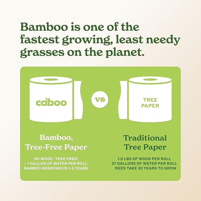 Caboo Tree Free Paper Towels, 2 Rolls, Tree Free, Eco Friendly, Earth Friendly, Sustainable Kitchen Paper Towels with Strong 2 Ply Sheets