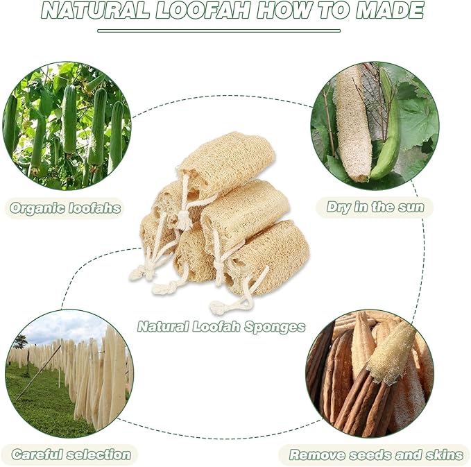 Natural Loofah Sponge Organic Loofa Set 6 Pack,Exfoliating Body Scrubber Shower Luffa Men and Women for Bath Cleaning Skin Back and Face Eco Tool