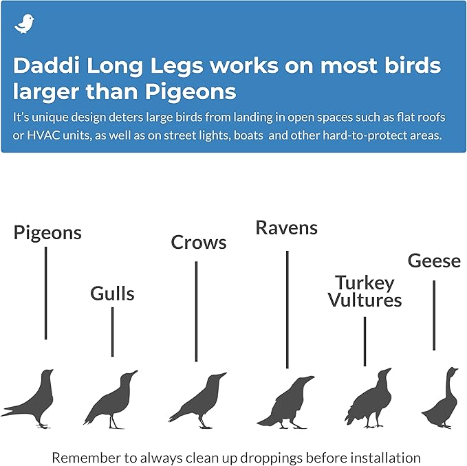 Bird Barrier Daddi Long Legs - 6 Ft | Scare Birds Away with Innovative Bird Spider Design | Bird Deterrent for Outside | Easy Installation on Roofs, Boats & HVAC Units | Durable Stainless Steel/Delrin