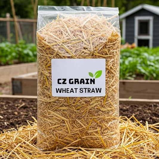 100% Natural Wheat Straw for Animal Bedding, Garden Mulch, Compost & Fertilizer, and Grass Cover (2 Pounds)