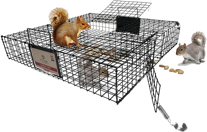 Predator Guard Squirrel Guard Trap - Humane Multi-Catch Trap, Attracts & Catches Multiple Squirrels in 1 Trap - Perfect for Indoor and Outdoor Use - Effective Squirrel Control to Protect your Property