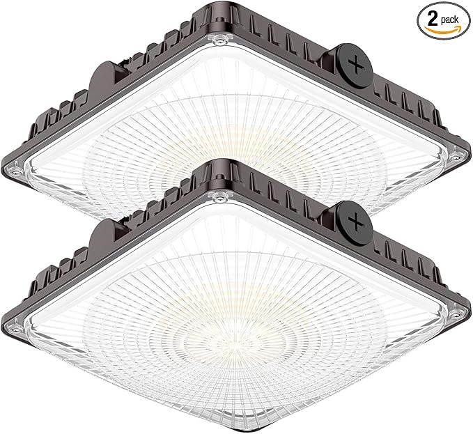100W LED Canopy Lights 2Pack, Selectable Wattage 100/80/60W 3CCT 3000/4000/5000K, IP65 ETL Listed Commercial Canopy Lights for Gas Station Warehouse Garage Shop