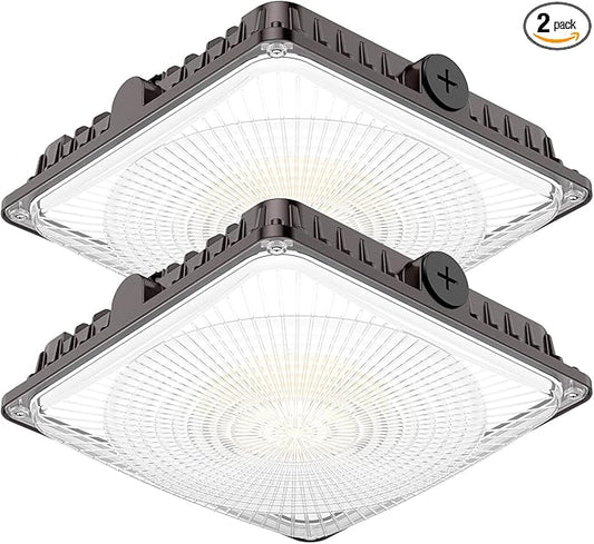 100W LED Canopy Lights 2Pack, Selectable Wattage 100/80/60W 3CCT 3000/4000/5000K, IP65 ETL Listed Commercial Canopy Lights for Gas Station Warehouse Garage Shop
