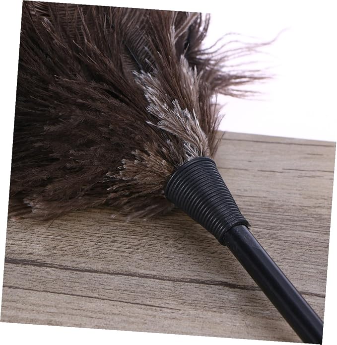 2pcs Natural Bird Plumage Dust Removal Brushes with Plastic Long Handles Lightweight Cleaning Tools for Kitchen Car Office High Reach Dusting (2pcs)