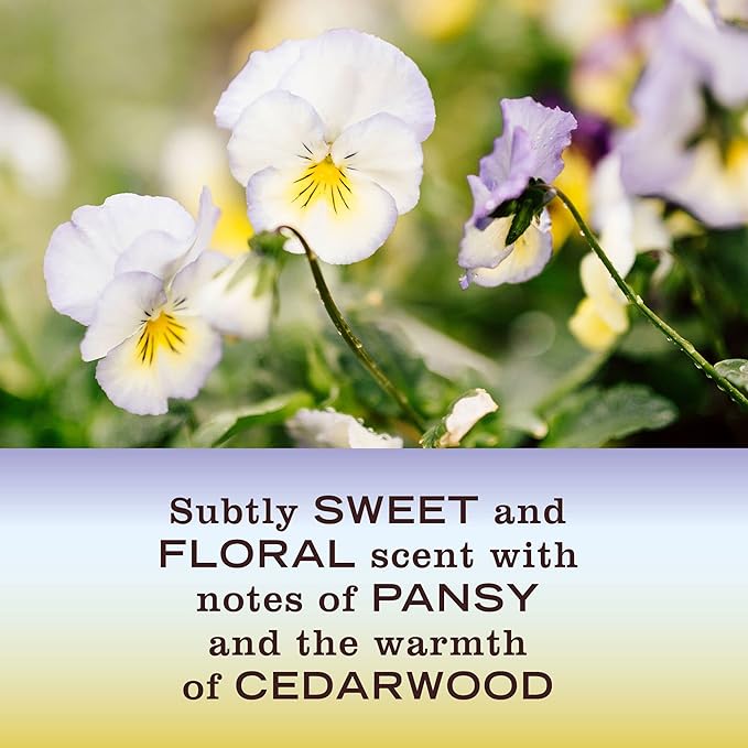 Mrs. MEYER'S CLEAN DAY Liquid Dish Soap, Biodegradable Formula, Compassion Flower, 16 fl. oz - Pack of 3