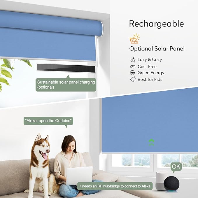 ZSHINE Motorized Blackout Window Blinds Customize Width (23-95 Inches) Remote Control Wireless and Rechargeable Roller Shades Blinds for Windows, Home, Office, Hotel, Club, Restaurant (82010w)