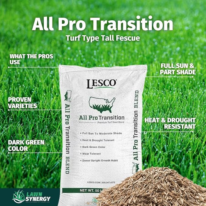 Lesco All-Pro Transition Tall Fescue Grass Seed Blend – (10 lbs) **Non-RETURNABE** Drought-Tolerant, Heat & Shade Resistant, Insect-Resistant Lawn Seed for Durable Turf