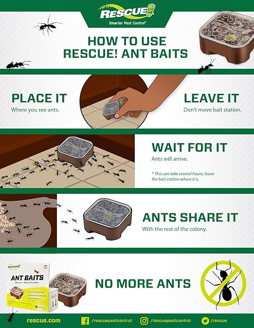 RESCUE! Ant Baits - 6 Pack - 24 Bait Stations