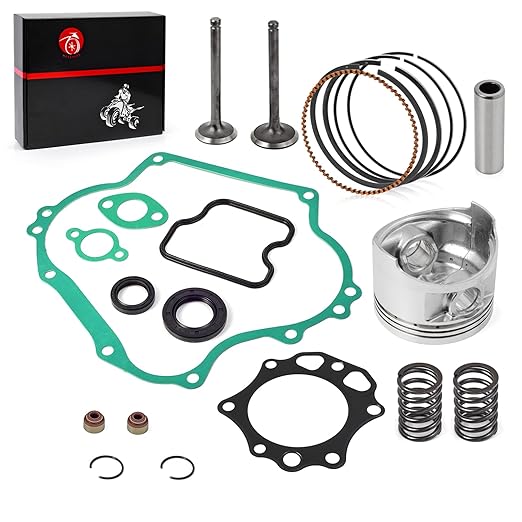 290cc Engine Rebuild Kit Piston & Ring Gasket Seal Intake Exhaust Valve Compatible with Club Car Golf Cart DS Predent FE290 1016459-01 1023047-01 1016447 1016448 1023047-01 6751