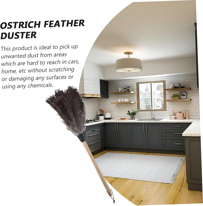 Natural Removal Brush Lightweight Cleaning Tool for Home Car Office with Soft Delicate Bristles and Hanging Practical for High and Reach Areas