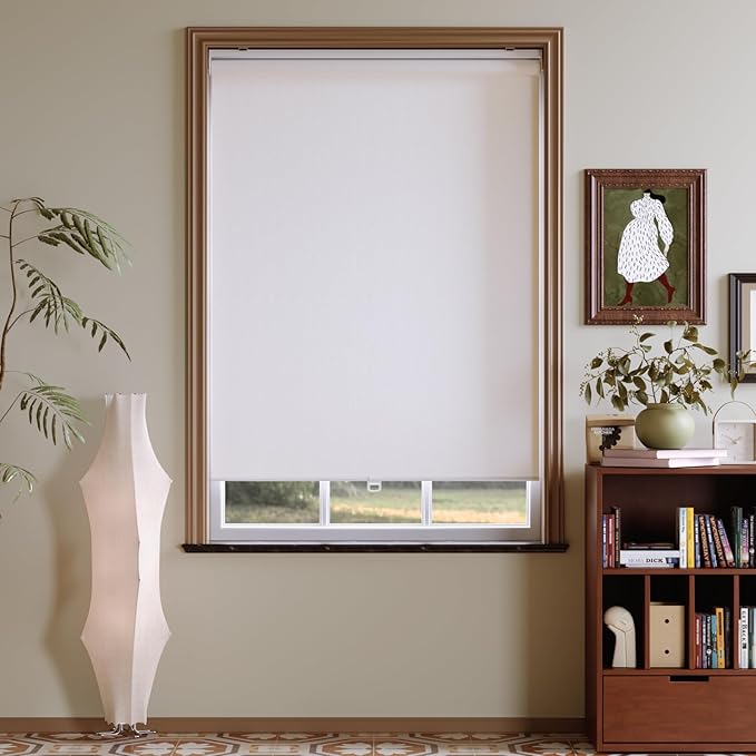 Window Blinds Cordless,Blackout Roller Shades,Blinds for Indoor Windows,Door Curtains,Room Darkening,Insulated UV Protection Pull Down Shades,with Spring System (White, 25" W x 72" H)