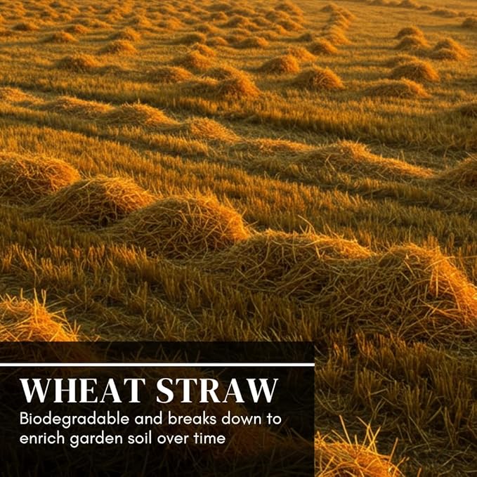 100% Natural Wheat Straw for Animal Bedding, Garden Mulch, Compost & Fertilizer, and Grass Cover (4 Pounds)