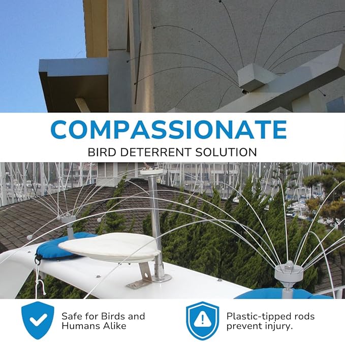 Bird Barrier Daddi Long Legs - 6 Ft | Scare Birds Away with Innovative Bird Spider Design | Bird Deterrent for Outside | Easy Installation on Roofs, Boats & HVAC Units | Durable Stainless Steel/Delrin