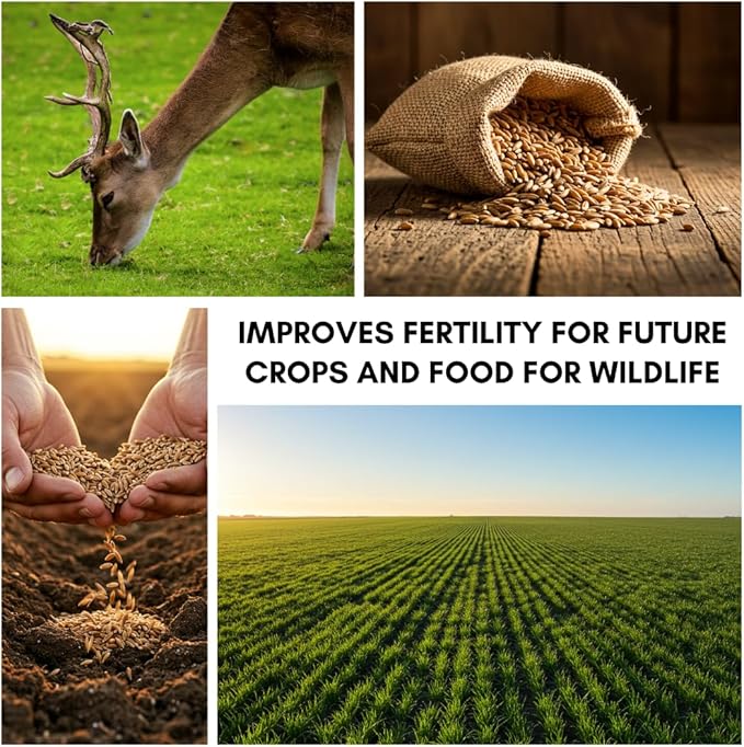 5 lbs No-Till Winter Rye Cover Crop Seeds – Non-GMO Rye Grass Seed for Soil Improvement, Erosion Control & Weed Suppression – Hardy Winter Rye for Deer, Turkey & Wildlife Food Plots