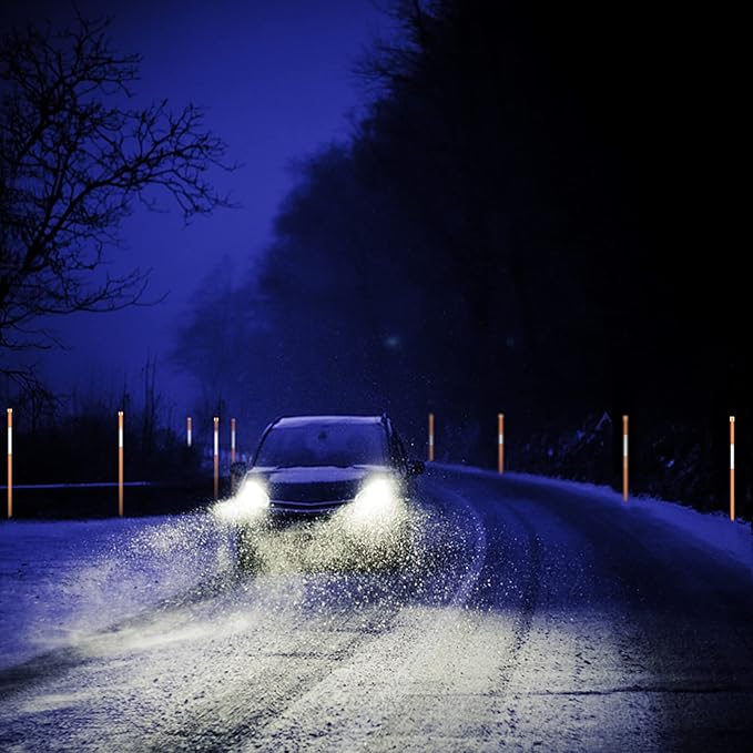 100 Pack 48 Inch Driveway Markers- Fiberglass Snow Plow Markers Snow Stakes Reflective Driveway Markers for Snow Plowing Parking Lots Walkways Easy Visibility at Night (1/4" Dia) Orange(100Pcs)