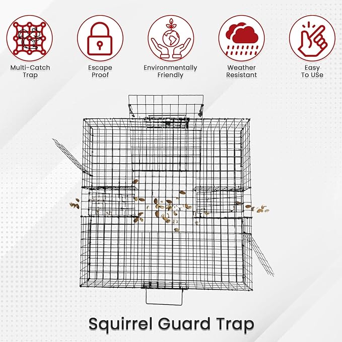 Predator Guard Squirrel Guard Trap - Humane Multi-Catch Trap, Attracts & Catches Multiple Squirrels in 1 Trap - Perfect for Indoor and Outdoor Use - Effective Squirrel Control to Protect your Property