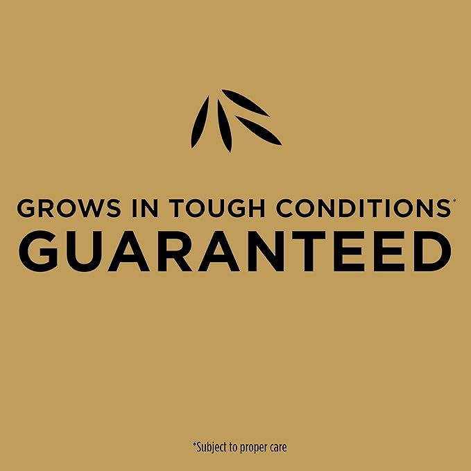 Scotts EZ Seed Patch & Repair Tall Fescue Lawns Combination Mulch, Grass Seed and Fertilizer for Bare Spots and Repair, Grows Anywhere, 3.75 lb.