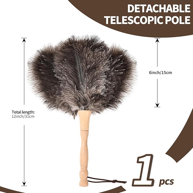 Ostrich Feather Duster 12 Inch Handheld Duster Supplies, Wooden Handle Feather Duster for Cleaning Keyboard Home Car Office (Natural)