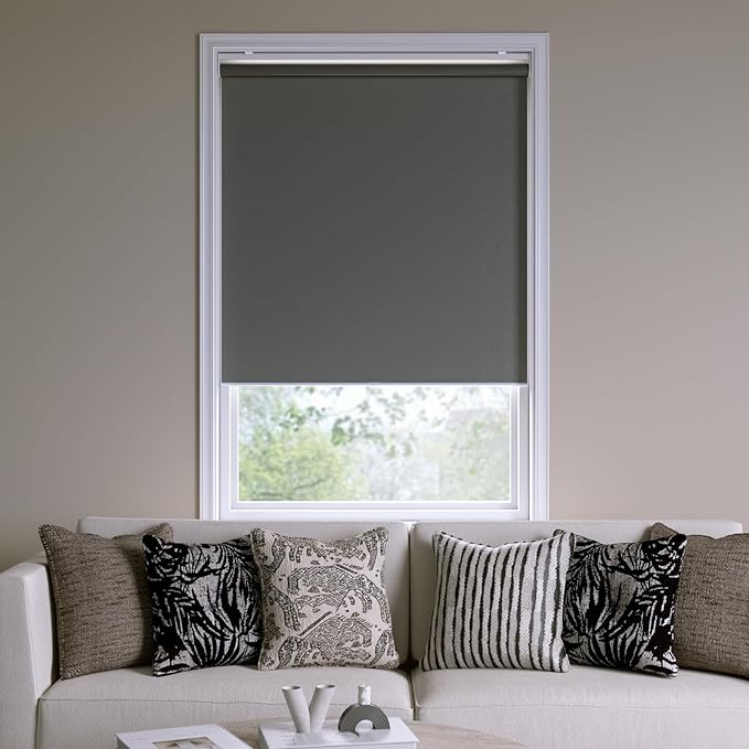 Cordless Roller Shades Blackout Blinds for Windows Room Darkening Rolled Up Shades with Spring System, UV Protection Window Shades Door Blinds for Home and Office (Grey, 23" W x 72" H)