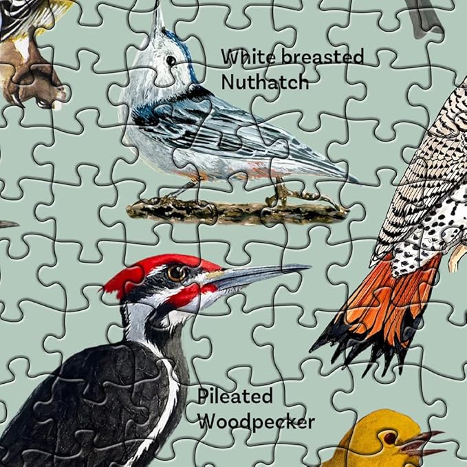 Bird Puzzle for Adults 1000 Pieces and Up, Backyard Birding Puzzle Collects 47 Backyard Birds of North America, Birds Theme Jigsaw Puzzles for Bird Lover