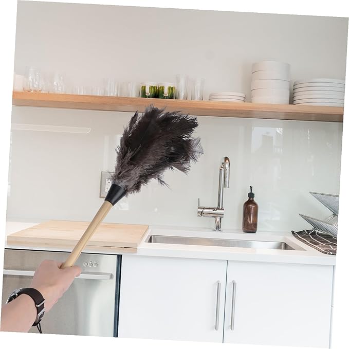 Natural Removal Brush Lightweight Cleaning Tool for Home Car Office with Soft Delicate Bristles and Hanging Practical for High and Reach Areas