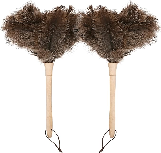 Ostrich Duster Fluffy Natural Feather Dusters with Wooden Handle Cleaning Supplies for Home Office CarDaieeparty (2, 16inch)