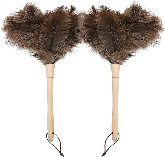 Ostrich Duster Fluffy Natural Feather Dusters with Wooden Handle Cleaning Supplies for Home Office CarDaieeparty (2, 16inch)
