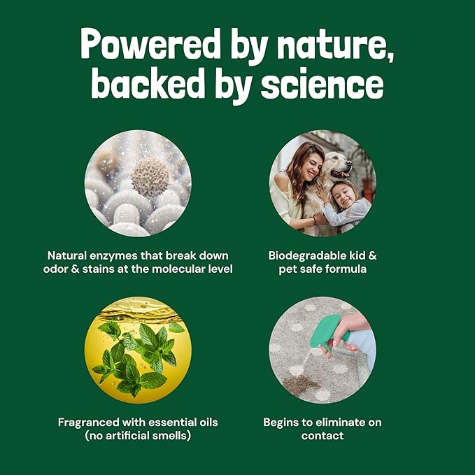 Sunny & Honey Pet Stain & Odor Miracle - 32 Fl Oz, Spring Mint Scent - Carpet Cleaner & Enzyme Spray for Carpets, Mattresses & Upholstery - Rug Shampoo & Dog Pee Cleaner & Odor Remover