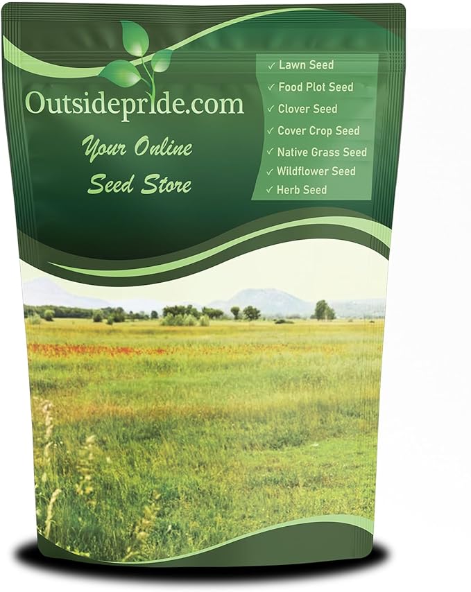 Outsidepride Perennial Short Native Grass Seed Mix - 25 lbs. Premium Mix of Blue Grama, Buffalo, Sideoats Grama, & Sheep’s Fescue Grass Seeds for Low-Maintenance, Heat & Drought-Tolerant Landscaping