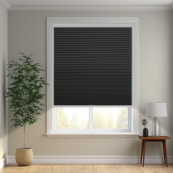 Changshade Cordless Cellular Shades, Blackout Honeycomb Shades for Windows, Pull Down Pleated Blinds, Easy to Install for Indoor Windows and French Doors,25" W x 48" H, Black
