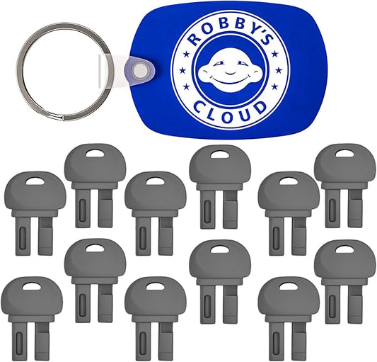 Key for EZ Klean Rat Bait Stations and Exterminators Choice Bait Boxes - Mouse Bait Station Key compatible with FBS Fly Bait Stations and EZ Klean Bait Stations - With Robby’s Cloud Keychain (12 Pack)