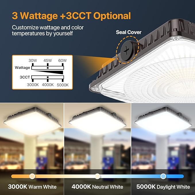 100W LED Canopy Lights 2Pack, Selectable Wattage 100/80/60W 3CCT 3000/4000/5000K, IP65 ETL Listed Commercial Canopy Lights for Gas Station Warehouse Garage Shop