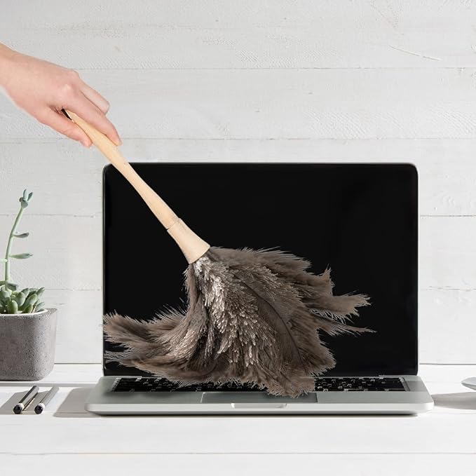 Superio Ostrich Feather Duster Fluffy Dust Remover, with Wooden Handle Reusable for Cleaning Homes, Ceilings, and Furniture (3 Pack) (2 Pack)