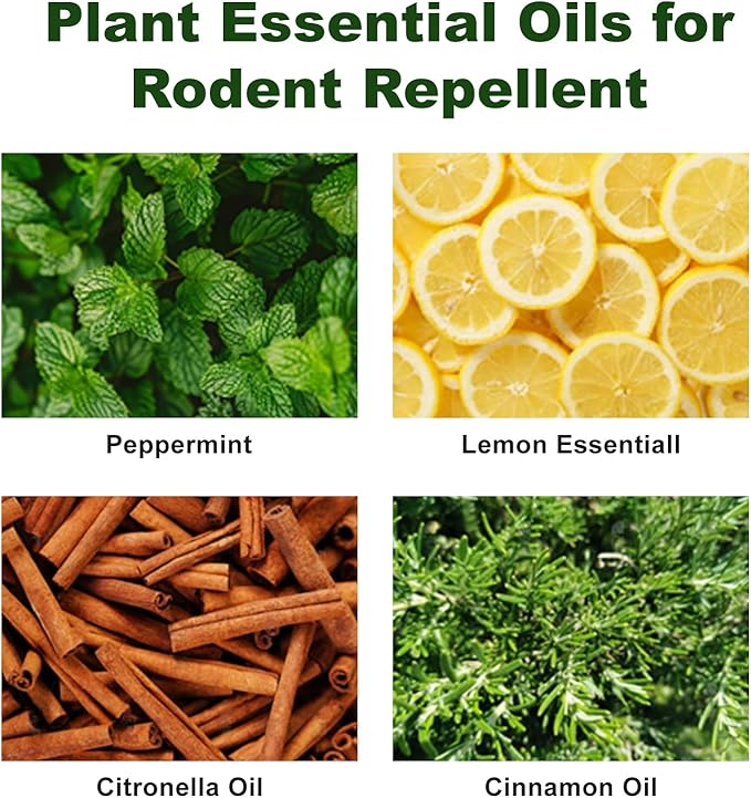 Peppermint Oil Rodent Repllent (40, Yellow and Green)
