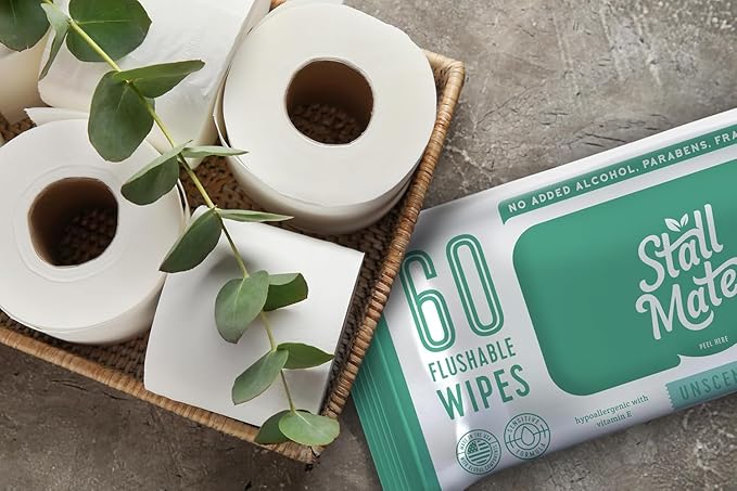 Stall Mates 60-Wipe Home Pack: Flushable | Hypoallergenic Moist Wipes | Made in the USA | Unscented with Vitamin-E & Aloe