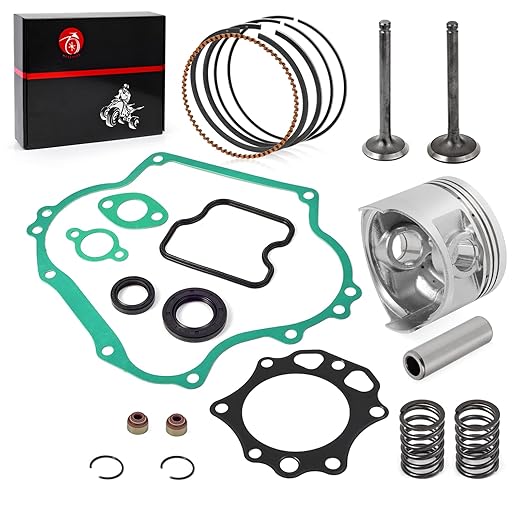 290cc Engine Rebuild Kit Piston & Ring Gasket Seal Intake Exhaust Valve Compatible with Club Car Golf Cart DS Predent FE290 1016459-01 1023047-01 1016447 1016448 1023047-01 6751