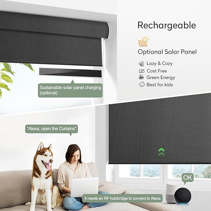 ZSHINE Motorized Blackout Window Blinds Customize Width (23-95 Inches) Remote Control Wireless and Rechargeable Window Roller Shades for, Home, Office, Hotel, Club, Restaurant and Cinema… (82010M)