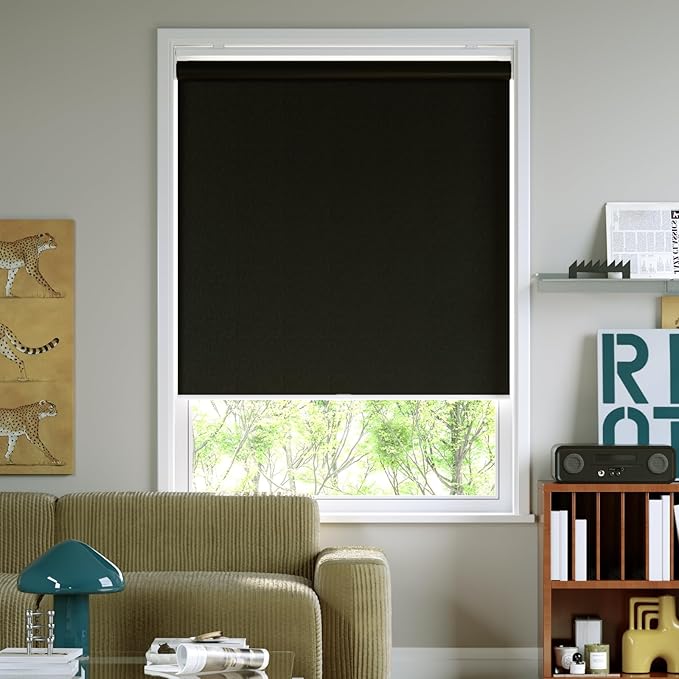 Cordless Roller Shades Blackout Blinds for Windows Room Darkening Rolled Up Shades with Spring System, UV Protection Window Shades Door Blinds for Home and Office (Black, 24" W x 72" H)
