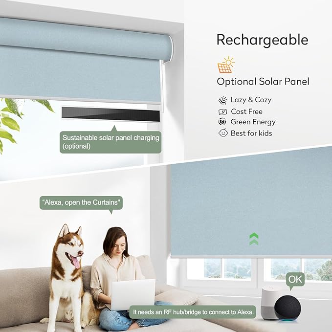 ZSHINE Motorized Blackout Window Blinds Customize Width (23-95 Inches) Remote Control Wireless and Rechargeable Roller Shades Blinds for Windows, Home, Office, Hotel, Club, Restaurant (82010L)