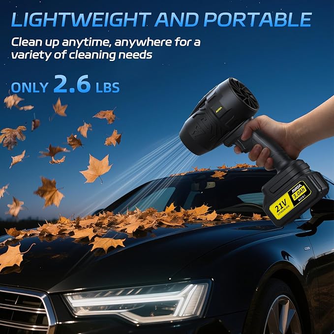 Electric Leaf Blower Cordless with 2 Battery and Charger, 300000 RPM Handheld Leaf Blowers for Lawn Care, Patio Cleaning, Blowing Leaves ＆ Dust, Turbo Jet Blower Car Dryer, Portable/Small leaf blowers