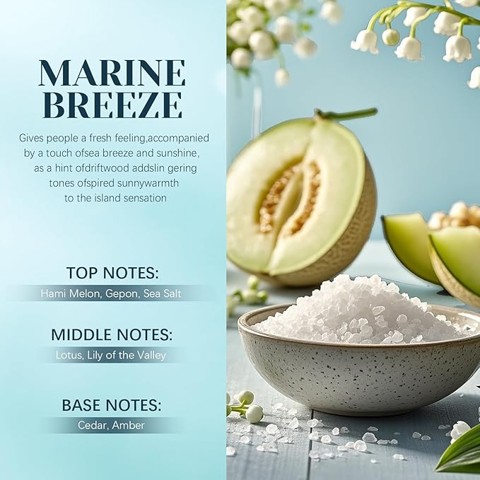 Car Air Freshener Hanging 2 Pack – Marine Breeze Car Freshener Diffuser, Fall Car Air Freshener for Women and Men, Lasting up to 45 Days. 0.27 FL OZ/8ML
