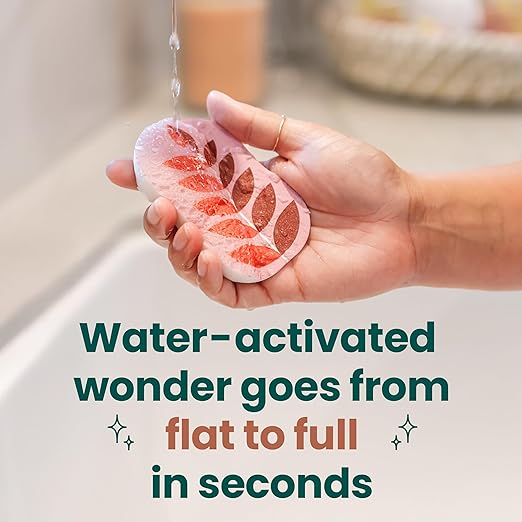 Scotch-Brite Brite Harvest Collection, 1 Extra Gentle Leafy Clean Kitchen Sponge, 3 Pop Up Dish Sponges That Expand with Water, and 4 Dobie Non-Scratch Sponges