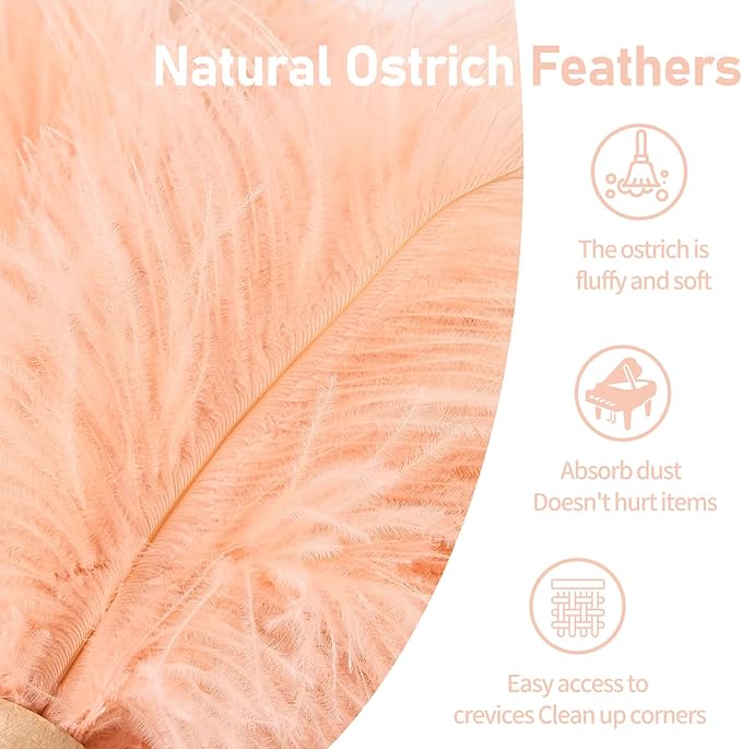 Ostrich Feather Duster 12 Inch Handheld Duster Supplies, Wooden Handle Feather Duster for Cleaning Keyboard Home Car Office (Champagne)