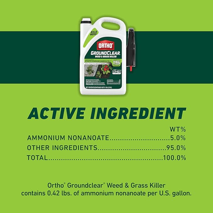 Ortho GroundClear Weed and Grass Killer with Comfort Wand, Kills Dandelions, Chickweed, Crabgrass, Moss and More in Patios and Landscapes, OMRI Listed, 1 gal.