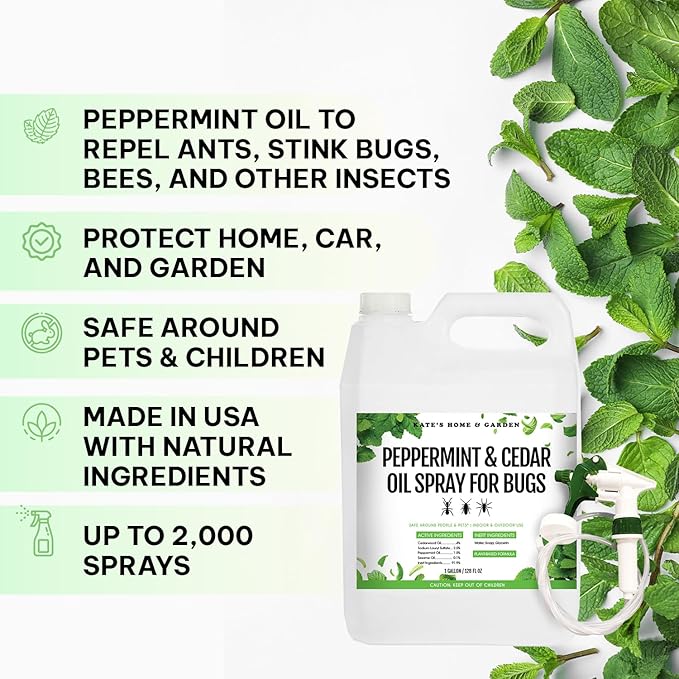 Kate's Home & Garden Peppermint Oil Spray for Bugs, Ants, Insects, Spiders. Pesticide and Insecticide Indoor Repellent Pest Control with Cedarwood Oil (Gallon, Natural, Pet Safe, Non Toxic)